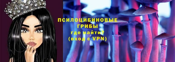 мяу мяу мука Беломорск